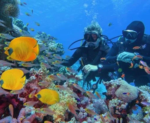 Diving with Explore Bali Hub