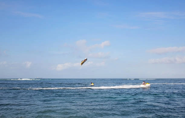 Flying Fish Explore Bali Hub 2