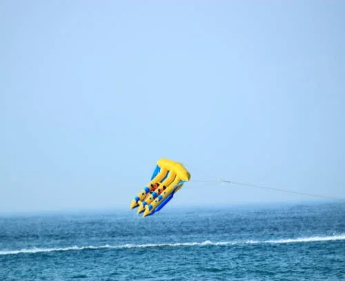 Flying Fish Explore Bali Hub