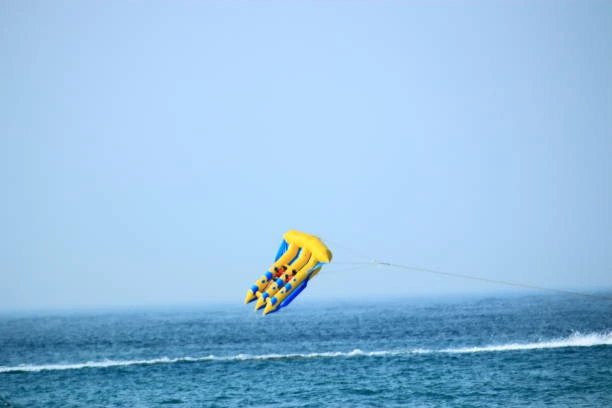 Flying Fish Explore Bali Hub