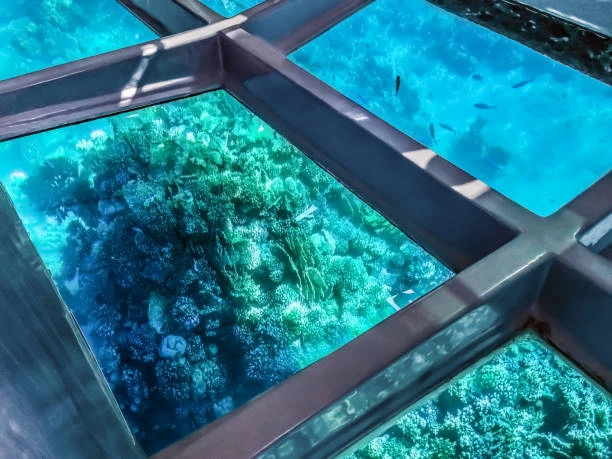 Glass Bottom Boat Explore Bali Hub