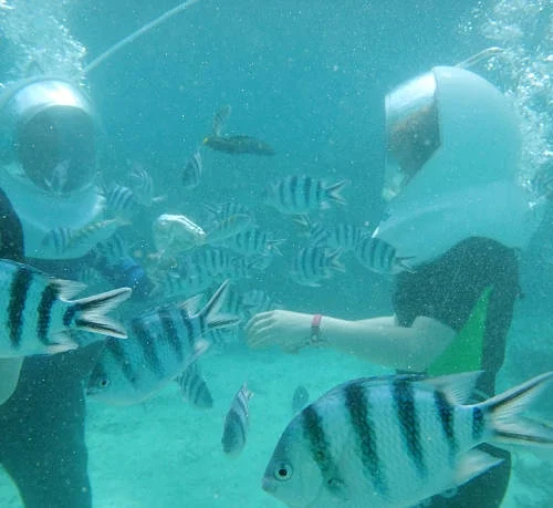 Sea Walker Explore Bali Hub 1