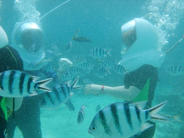 Sea Walker Explore Bali Hub 1