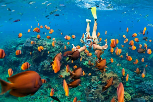 Snorkeling Explore Bali Hub 1