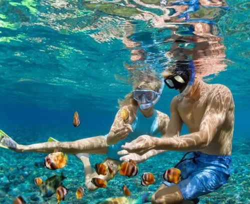 Snorkeling Explore Bali Hub