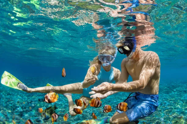 Snorkeling Explore Bali Hub